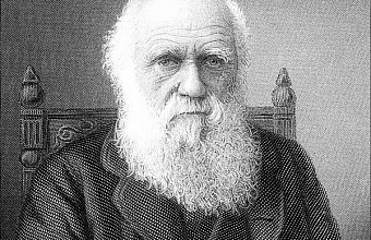 Достоевский и Дарвин